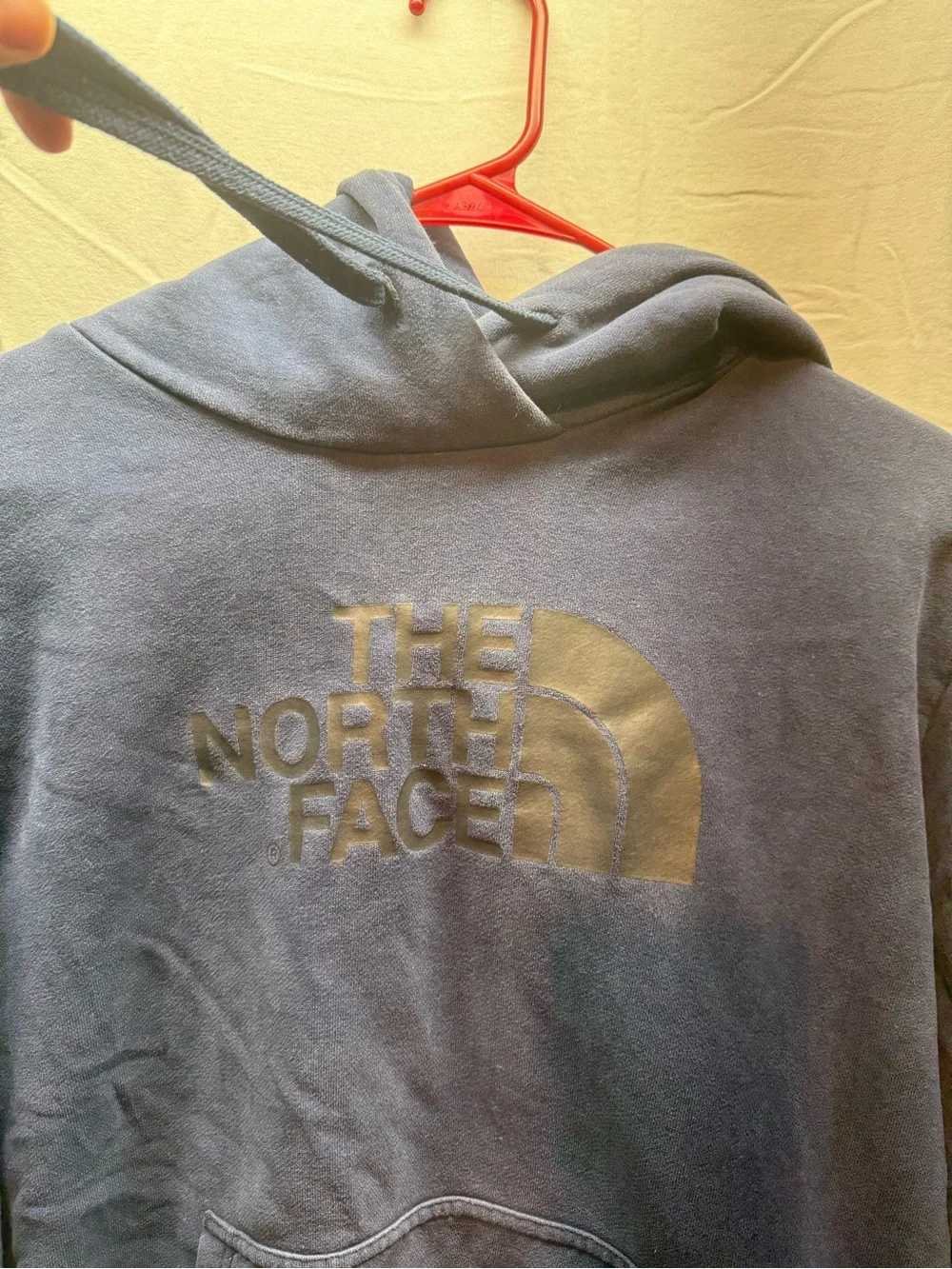 The North Face Men's Navy Hoodie Sweatshirt